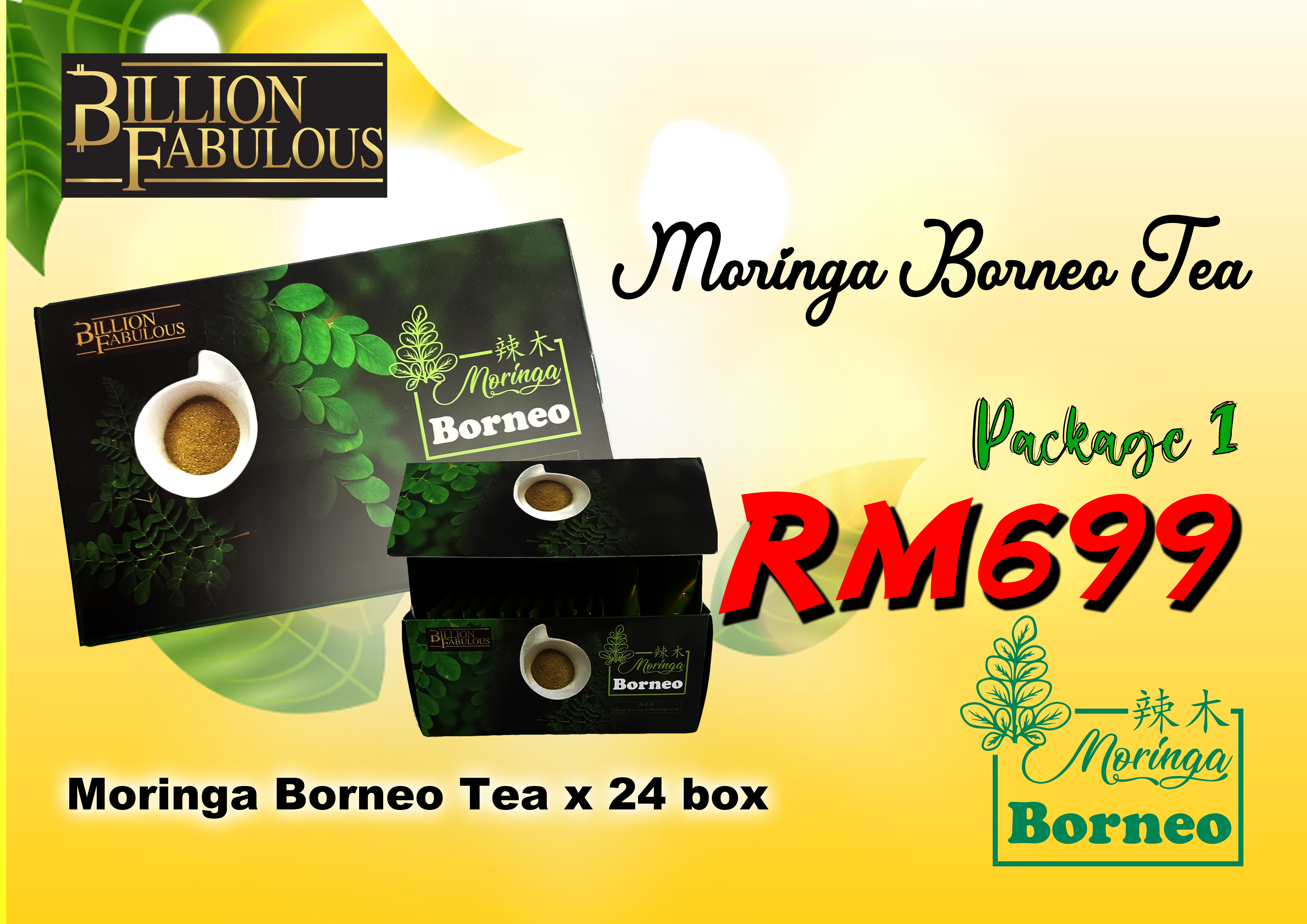 Moringa Tea (24 boxes)